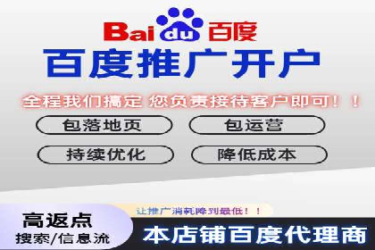 百度竞价代理实战技巧：经典案例深度解读